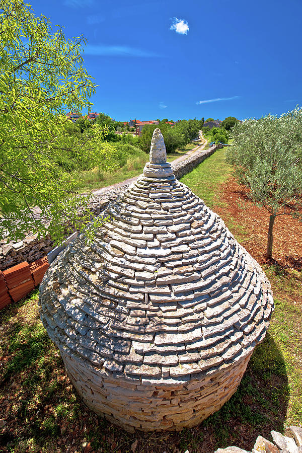 Olive tree field and traditional Istrian Kazun stone hut view Photograph by Brch Photography