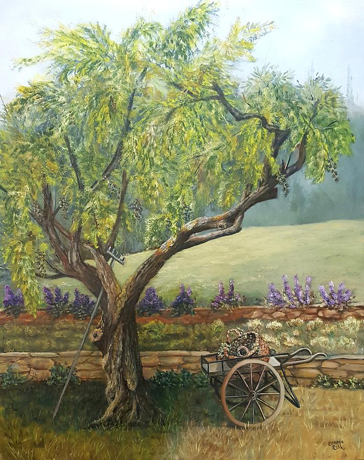 Olive Tree Harvest Painting by Connie Rish