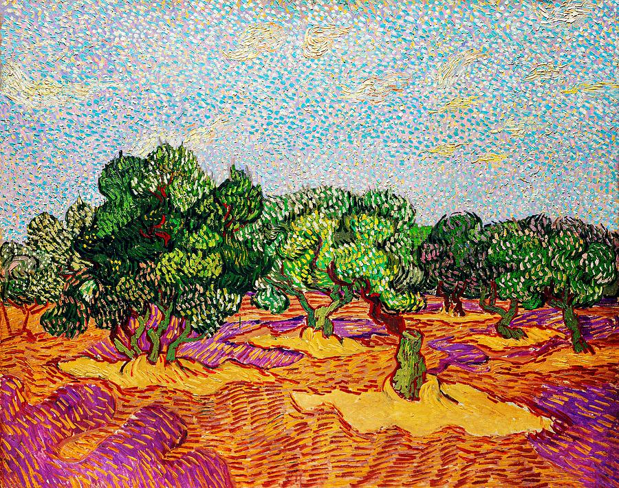 Vincent Van Gogh Photograph - Olive Trees 1889 By Vincent Van Gogh by Dec925
