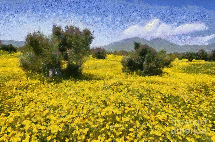 Olive trees and daisies by George Atsametakis Olive trees and daisies by George Atsametakis