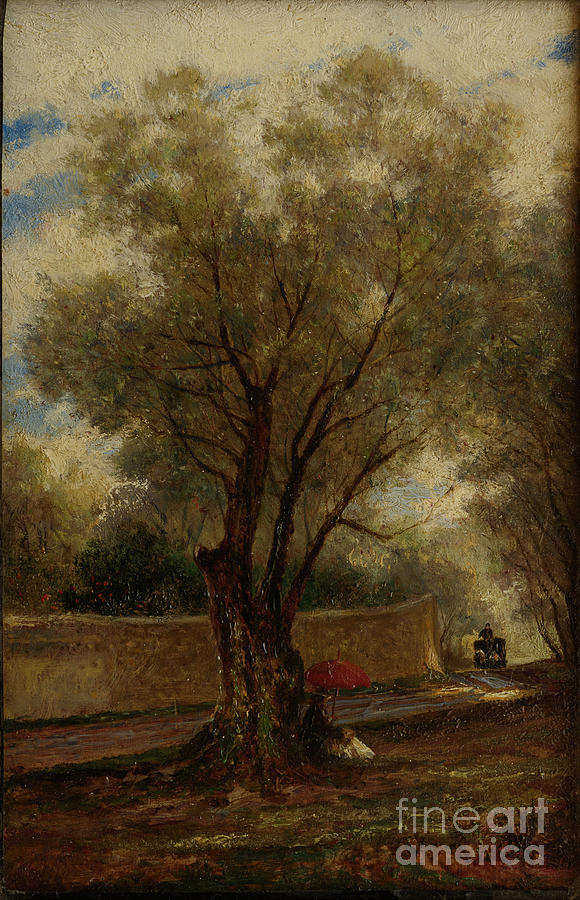 Olive Trees At Menton 1881 Drawing by Heritage Images