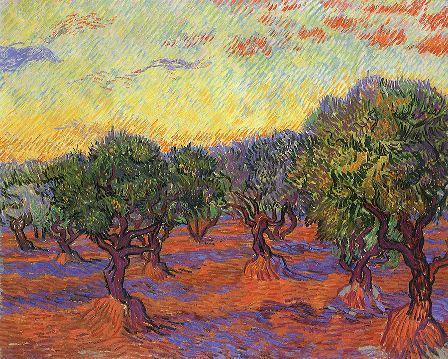 Olive Trees Orange Sky  Painting by Vincent van Gogh