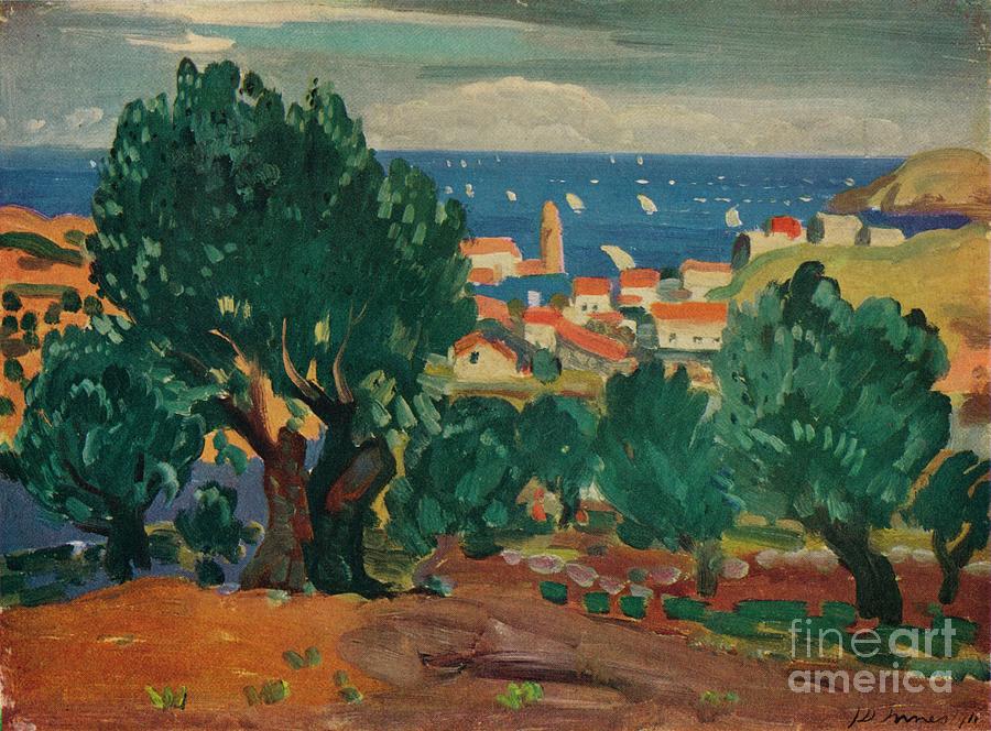 Olives At Collioure Drawing by Print Collector