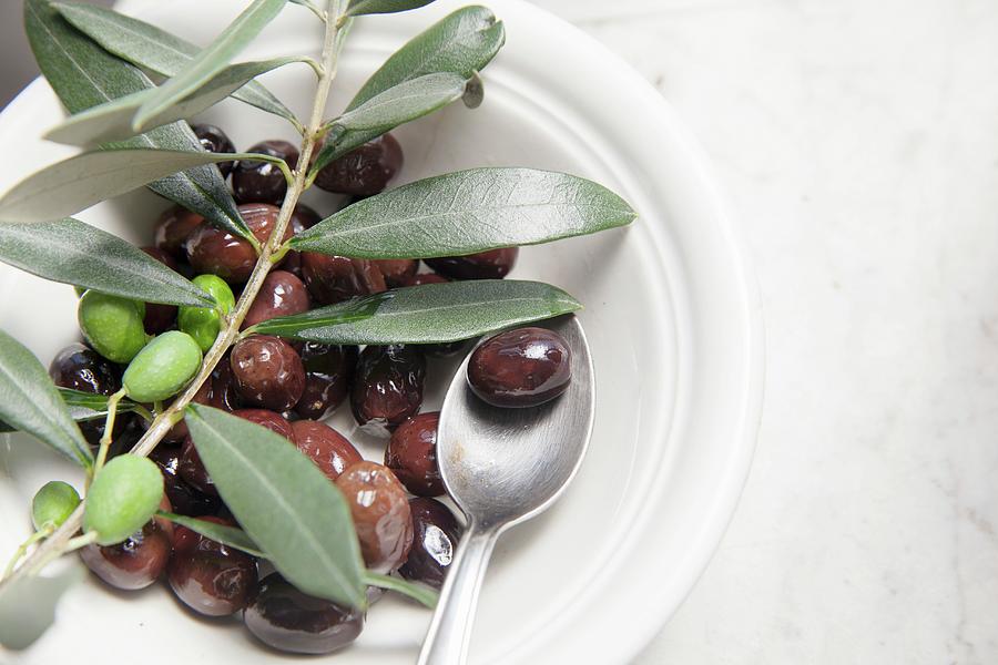 Olives In Olive Oil With An Olive Sprig Photograph by Riccardobruni