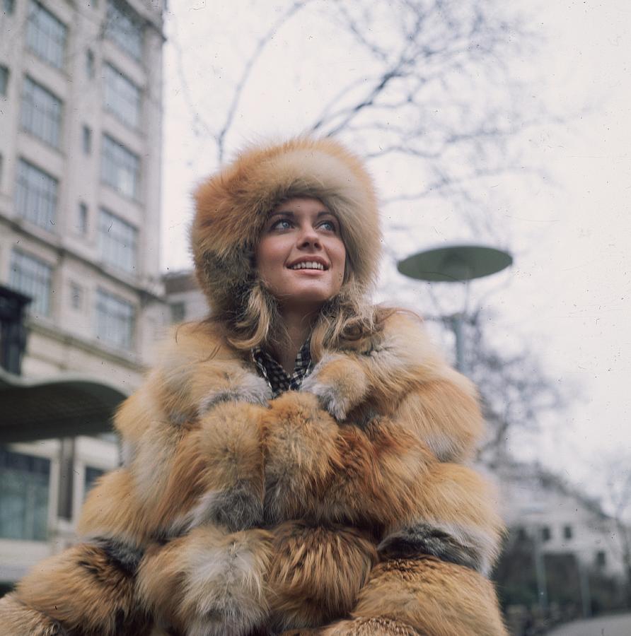 Olivia In Furs Photograph by Hulton Archive