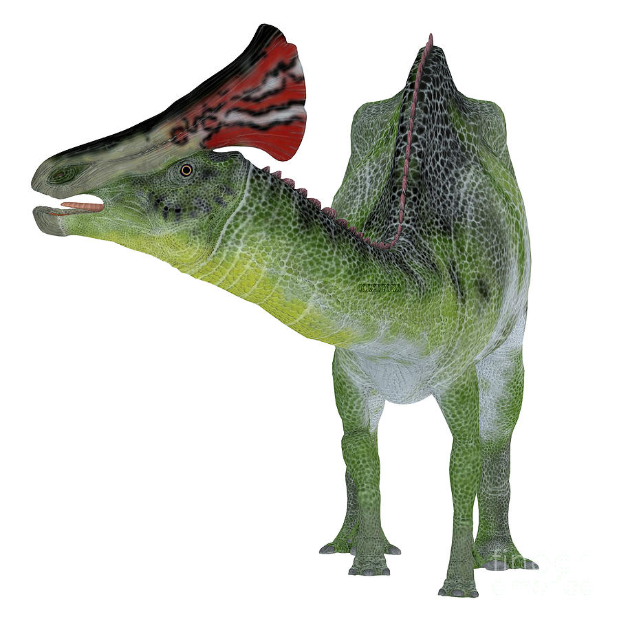 dinosaur with a crest on his head