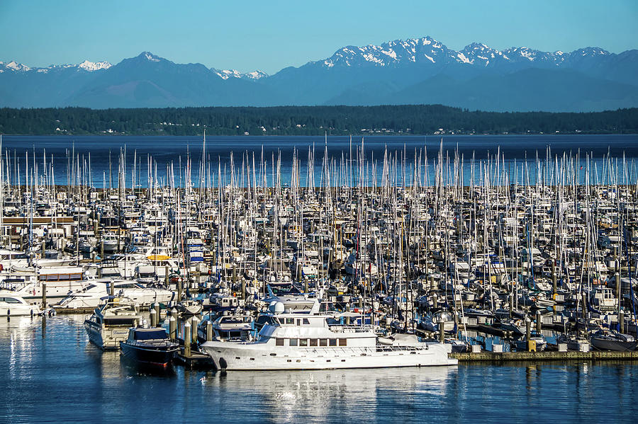 Olympic Mountains And Boat Marina In Puget Sound Washington Stat Photograph by Alex Grichenko