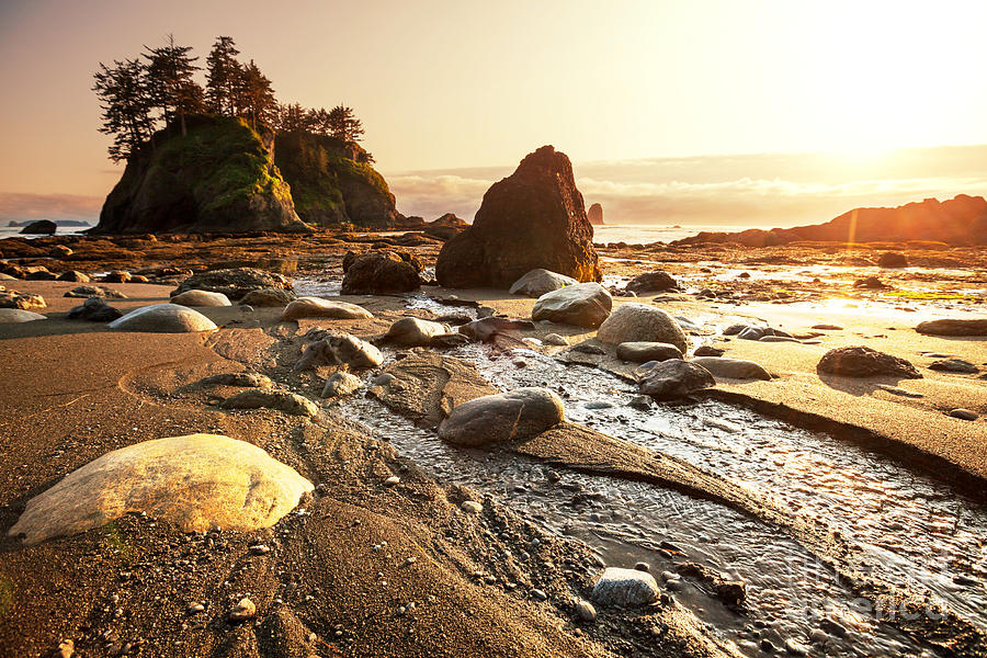 Olympic Photograph - Olympic National Park Landscapes by Galyna Andrushko Olympic Photograph - Olympic National Park Landscapes by Galyna Andrushko