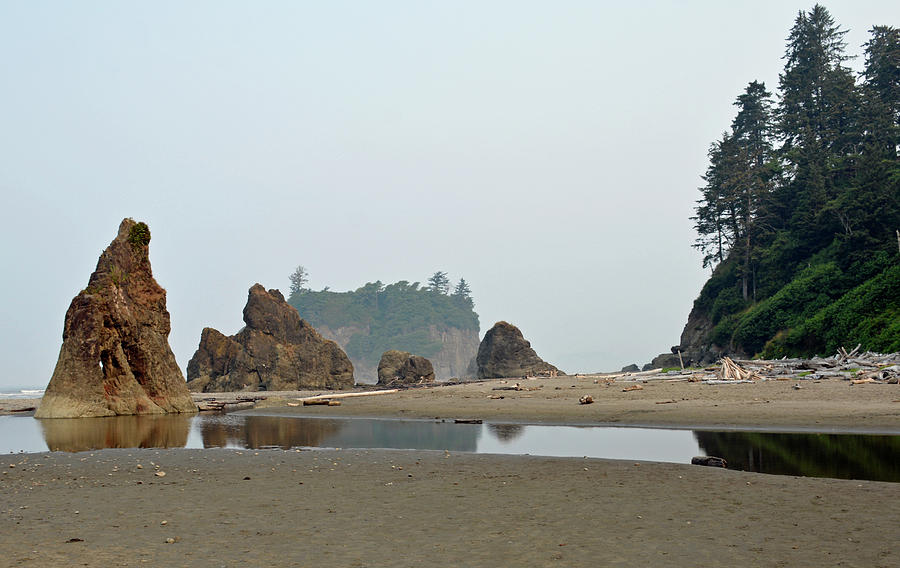 Olympic National Park Seastacks Photograph by Bruce Gourley