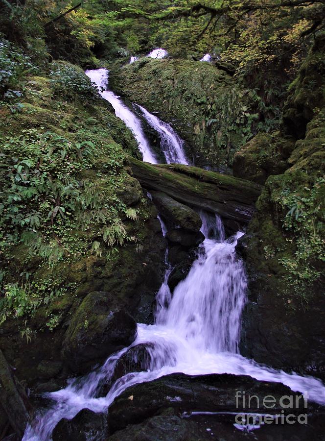 Olympic Waterfall Photograph by Tony Byers - Fine Art America