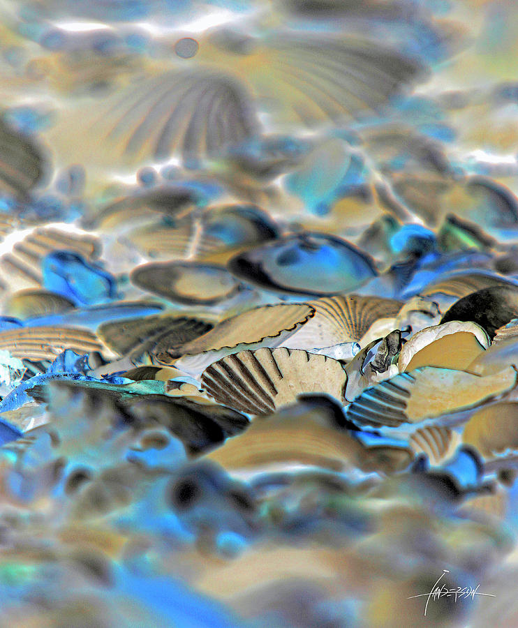 Treasures on the beach Photograph by Ian Anderson