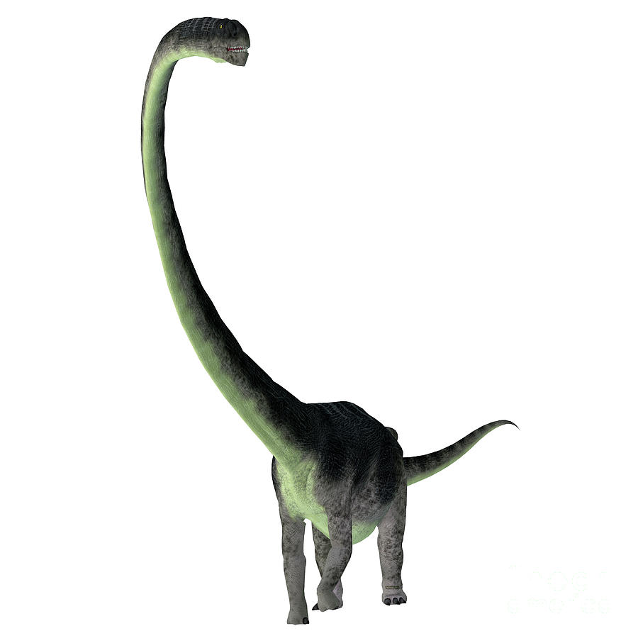 Prehistoric Digital Art - Omeisaurus Dinosaur Front by Corey Ford