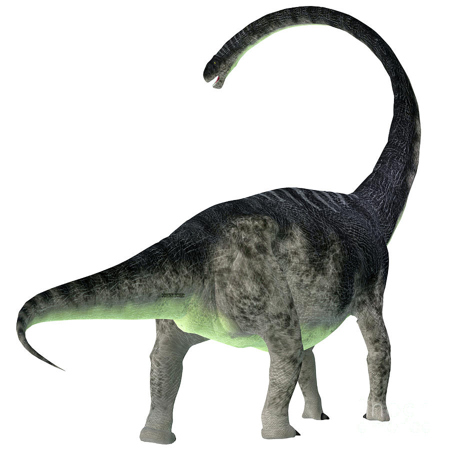 omeisaurus