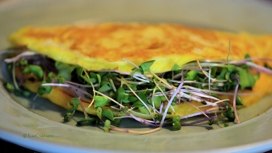 Omelette With Sprouts Photograph by Kae Cheatham