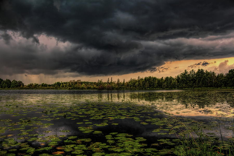 Ominous Sky Over The Lily Pads Photograph by Dale Kauzlaric