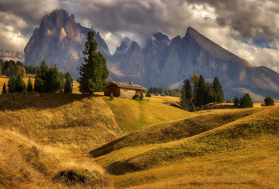 On A Mountain Meadow Photograph by Martin Kucera