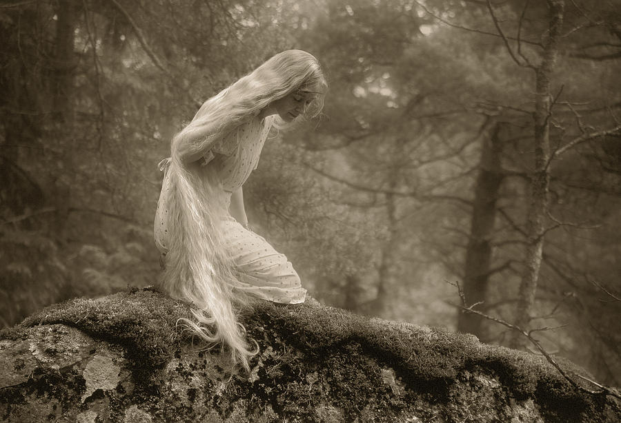 Mood Photograph - On A Stone In The Forest. by Allan Wallberg