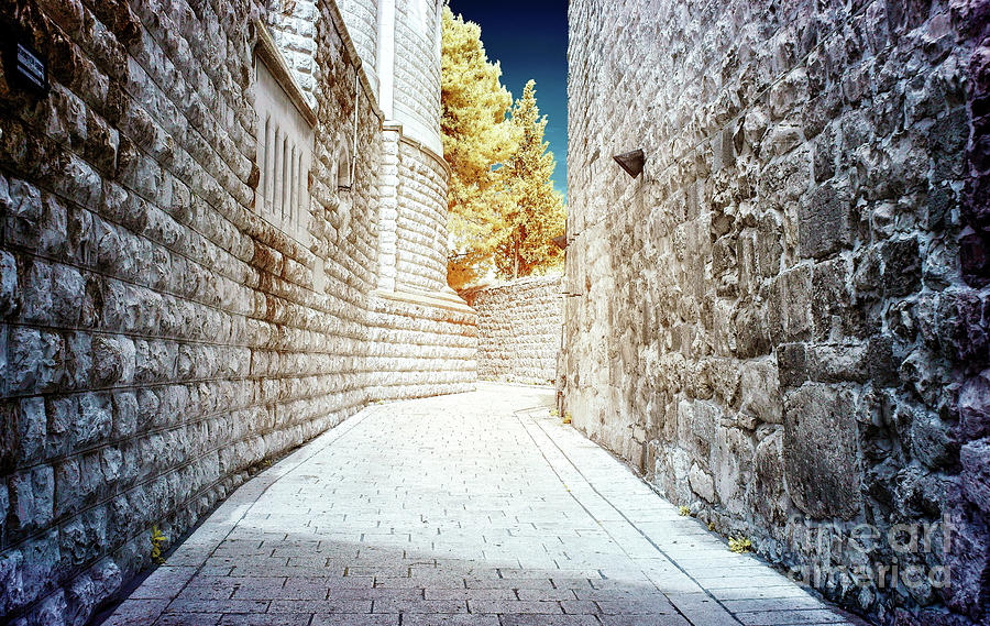 On Sacred Ground in Jerusalem Infrared Photograph by John Rizzuto