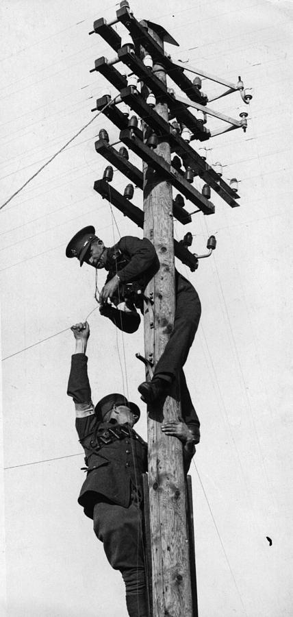 On Telegraph Pole Photograph by Fox Photos