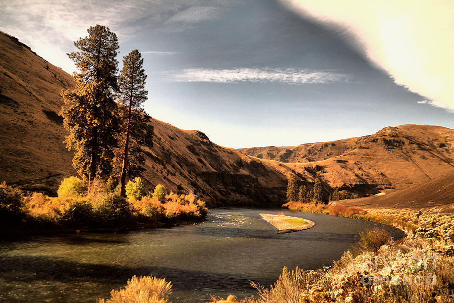 On the banks of the Yakima Photograph by Jeff Swan