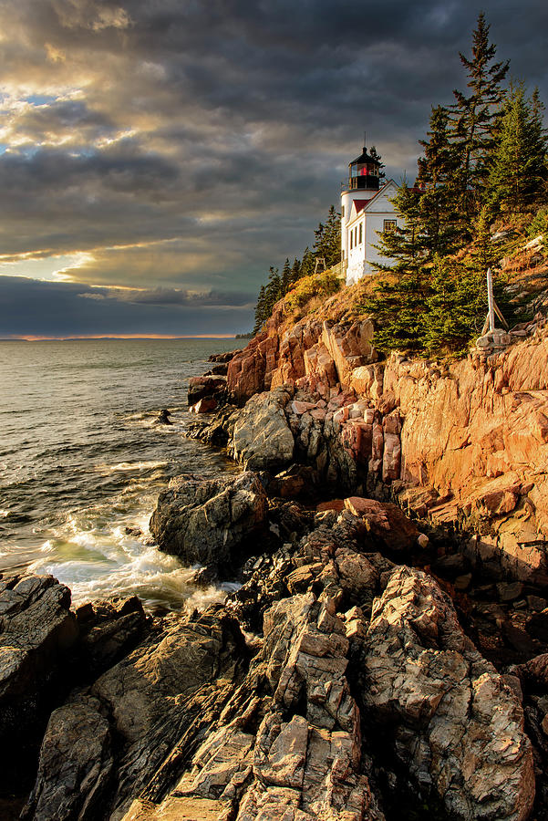 On The Bluff Photograph by Michael Blanchette Photography