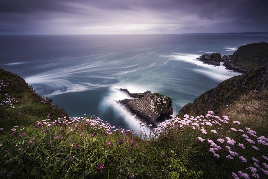 Flower Photograph - On The Edge Of The Cliff by Jorge Ruiz Dueso