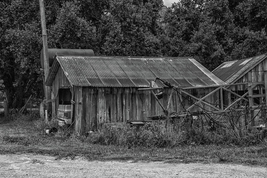 On The Farm 2 Photograph