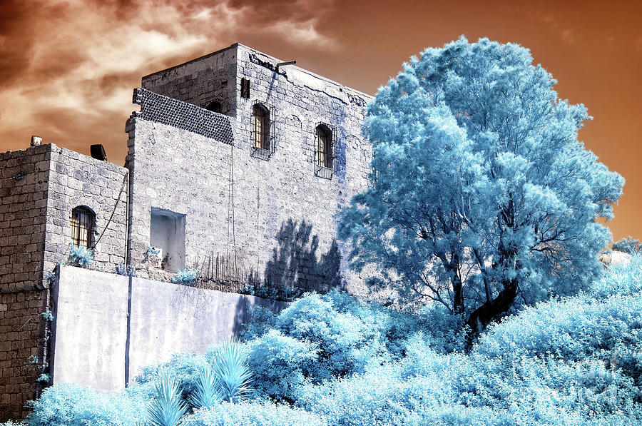 On the Hill in Jaffa Infrared Photograph by John Rizzuto