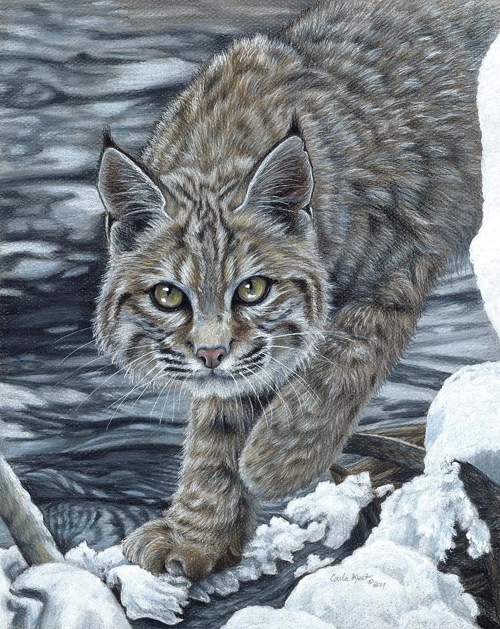 Wildlife Painting - On the Prowl by Carla Kurt