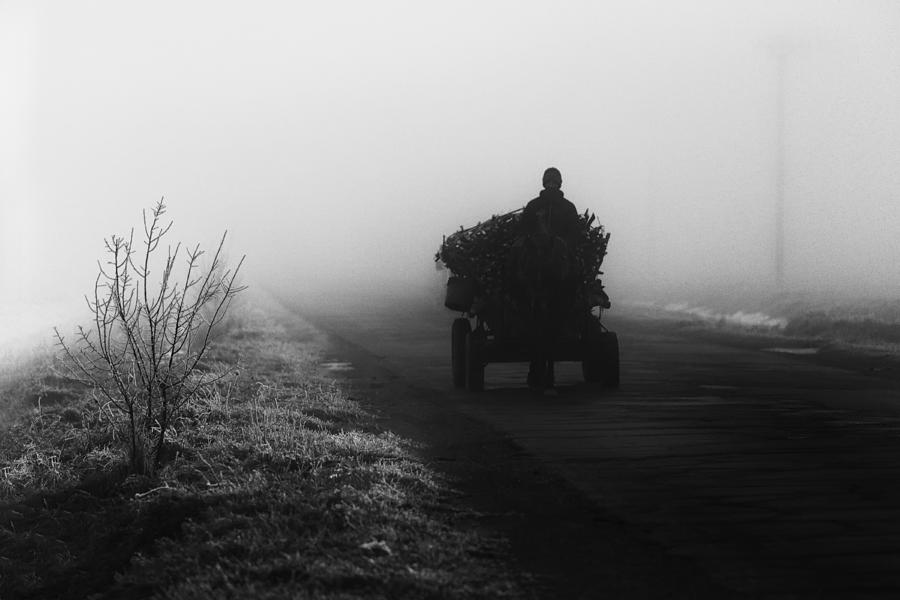 Winter Photograph - On The Road by Marius Cintez?