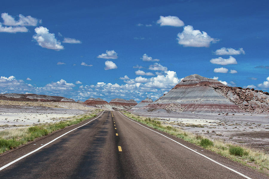 On The Road To Nowhere Photograph By Virginia Lucas Fine Art America 1659