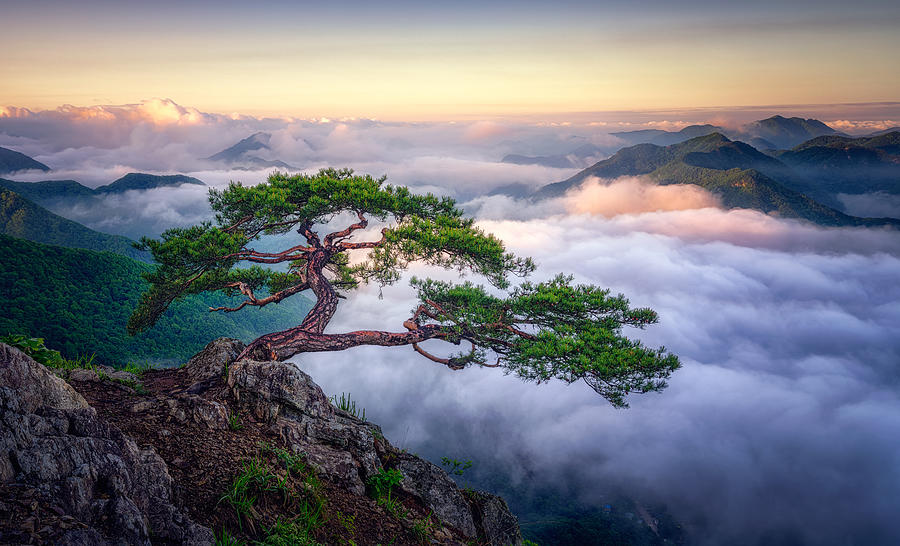On The Rock Photograph by Tiger Seo