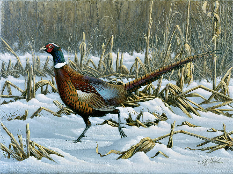 Bird Painting - On The Run by Wilhelm Goebel