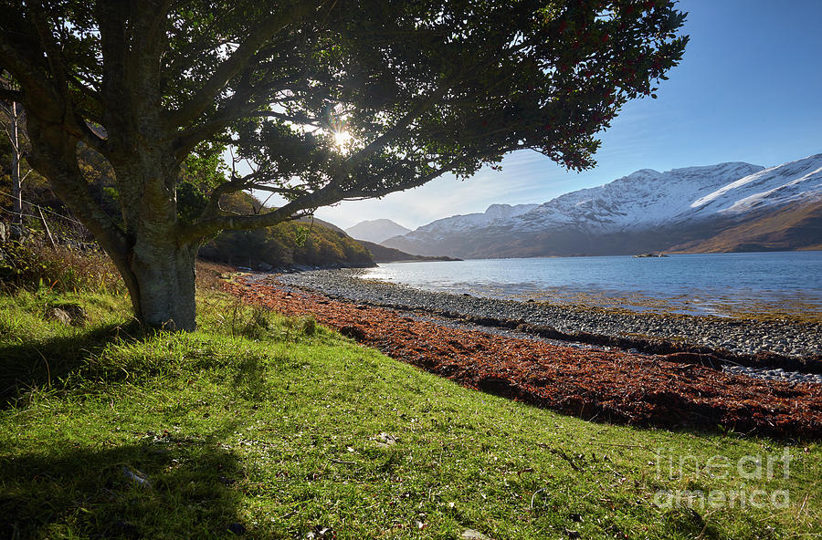 On the shore of Loch Hourn, Scotland. Photograph by David Bleeker