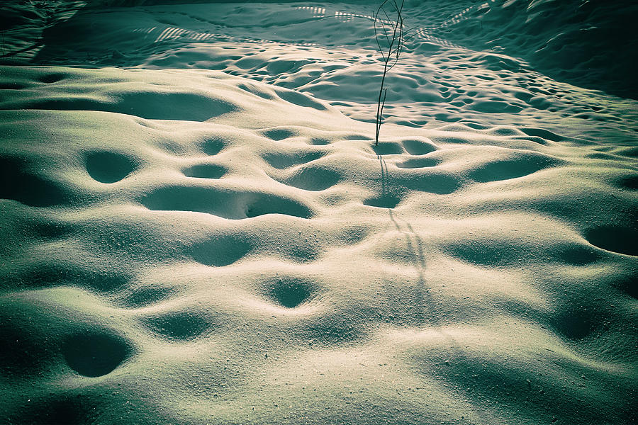 On the stage of winter. Chernihiv, 2019. by Andriy Maykovskyi On the stage of winter. Chernihiv, 2019. by Andriy Maykovskyi
