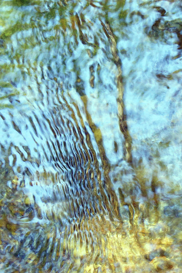 On the Surface by Deborah Ann Good On the Surface by Deborah Ann Good