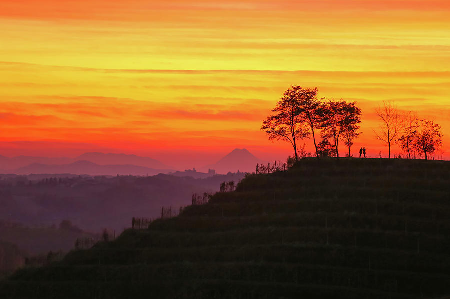 On the viewpoint by Davor Zerjav On the viewpoint by Davor Zerjav