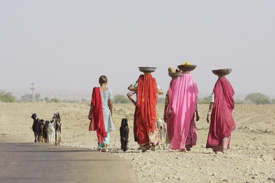 On Their Way Photograph by Photography By Nevil Zaveri On Their Way Photograph by Photography By Nevil Zaveri