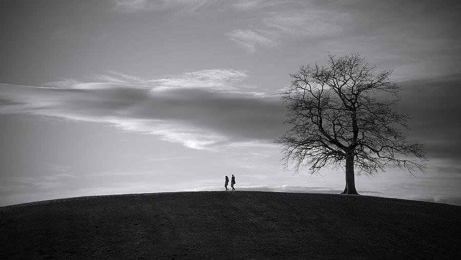 Tree Photograph - On Top Of The Hill [1] by Roberto Parola