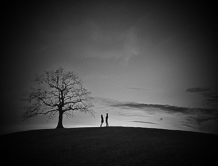 Tree Photograph - On Top Of The Hill [2] by Roberto Parola
