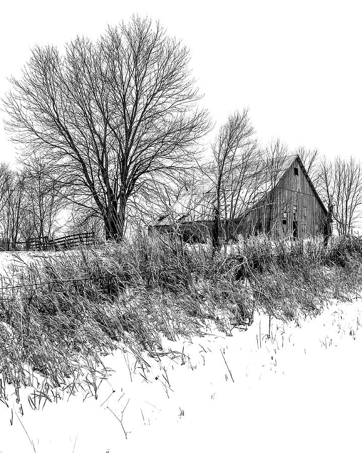 On Top The Snowy Hill Bw Photograph