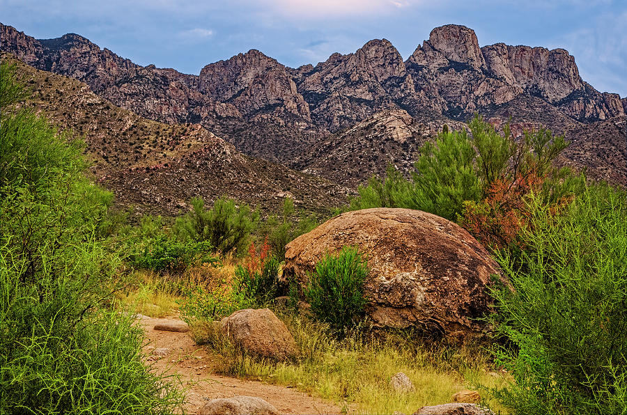 On Trail - Catalinas H1123 Photograph