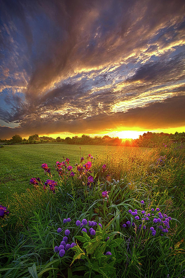 On Your Prayers Up in the Sky Photograph by Phil Koch - Fine Art America