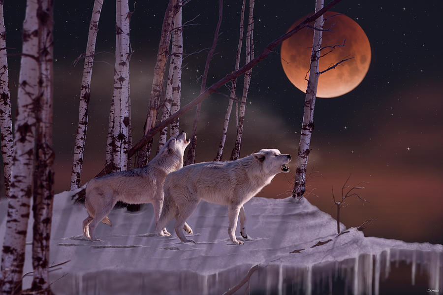 Wolves Photograph - Once In A Super Blue Blood Moon by Gordon Semmens