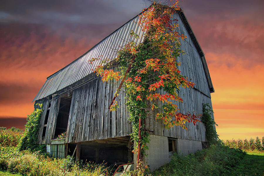 Once Upon an Autumn Barn Photograph by Lynn Bauer