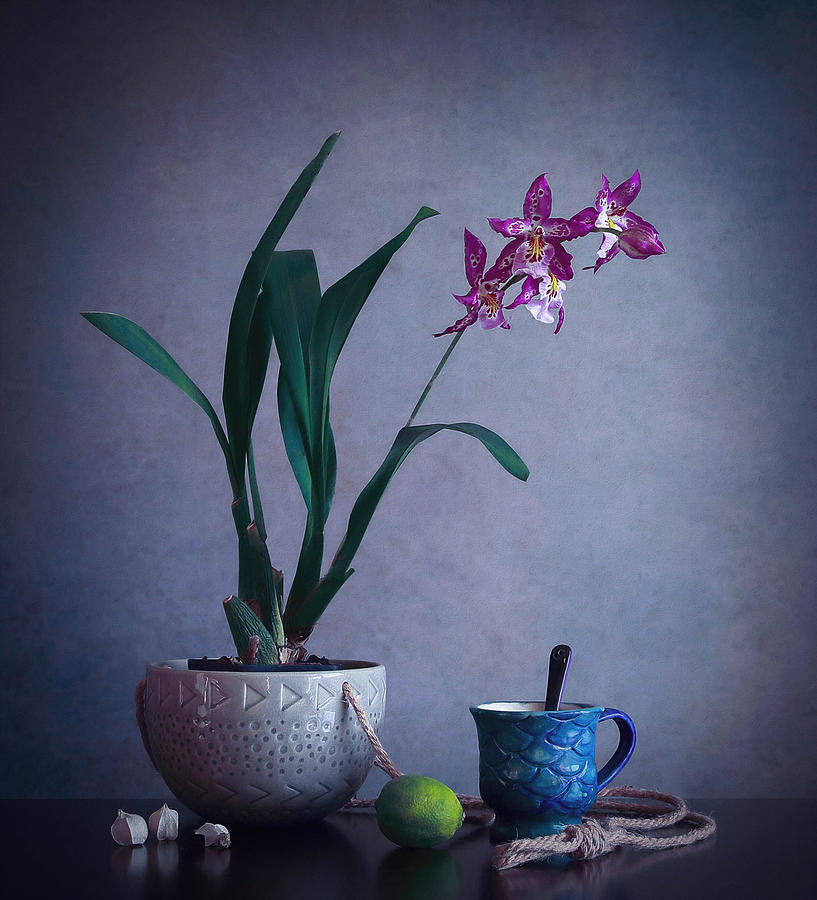 Oncidium Orchid Photograph by Fangping Zhou