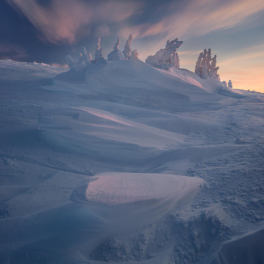 Winter Photograph - One Frosty Sunrise by Valeriy Shcherbina