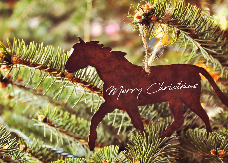One Horse Open Sleigh Photograph by Dressage Design