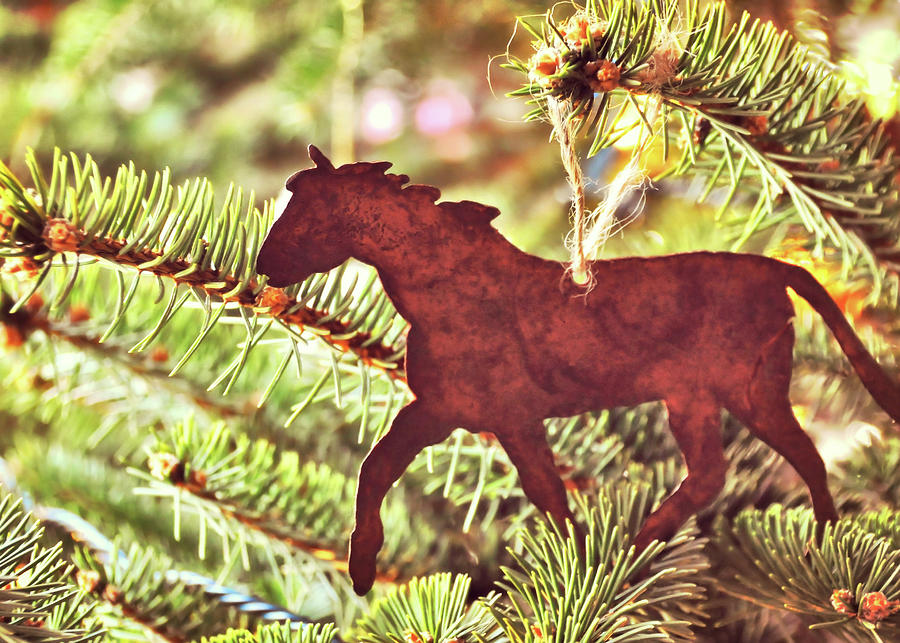 One Horse Open Sleigh Photograph by JAMART Photography