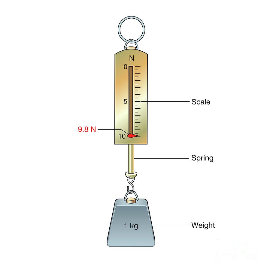 One Kilogram Mass On A Newton Meter Science Photo Library 